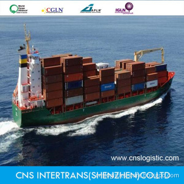 Sea Freight / Ocean Shipping From Shenzhen / Guangzhou / Shanghai China to Itapoa/Sepetiba/Salvador/